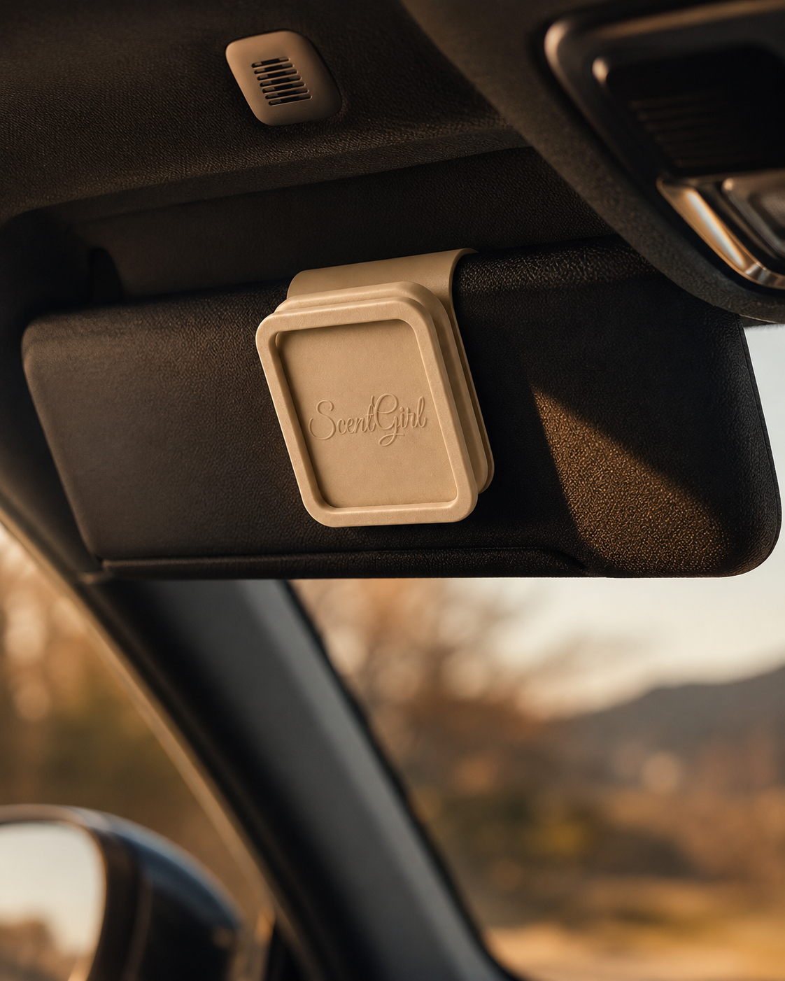 Visor Clip On